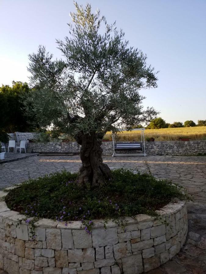 Apartament Dimora Del Sole Putignano Zewnętrze zdjęcie